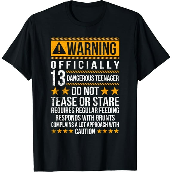 13 Years Old Warning Dangerous Teenager 13th Birthday T-ShirtMen and women, Black T-shirt, size: Extra large