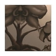 thumbnail image 1 of Orchids in Bloom Harmony - Canvas, 1 of 10