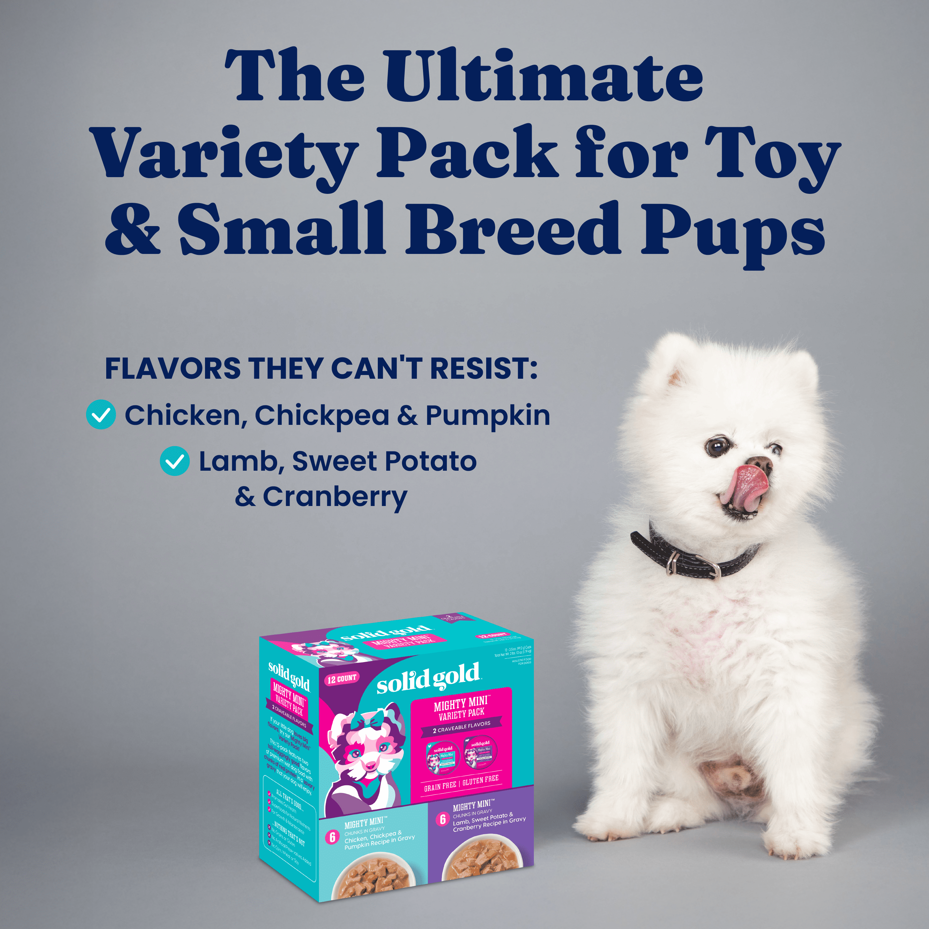 Solid Gold Toy & Small Breed Variety Pack Wet Dog Food, 3.5oz tray, case of 12