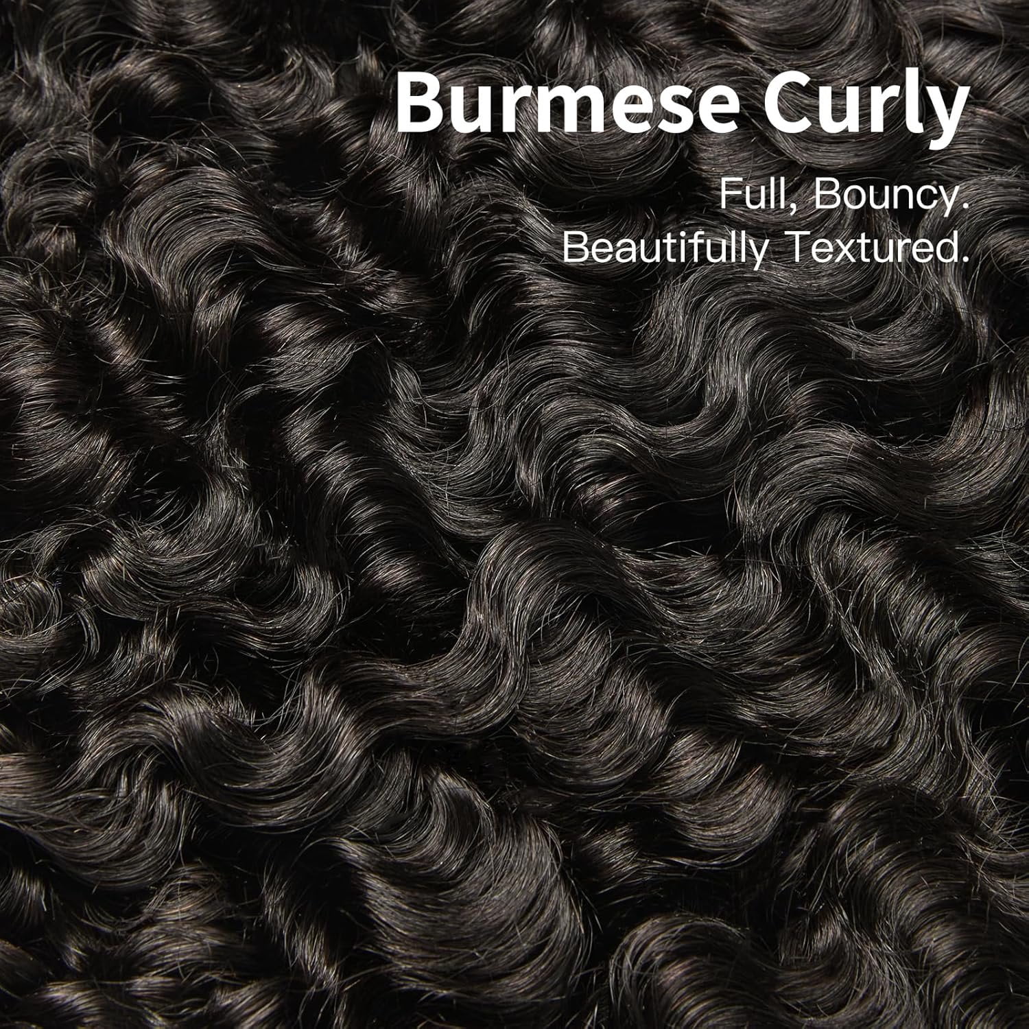 Burmese Curly  Human Hair Unprocessed  Burmese Curly Water Wave Human Hair 3   Black 14 16 18 inch