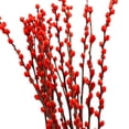 thumbnail image 1 of ERK 1Pcs 40 Vraies Branches de Chat Rouge 40cm Année et Année Chinoise Maison Festive (vase Non Inclus), 1 of 5