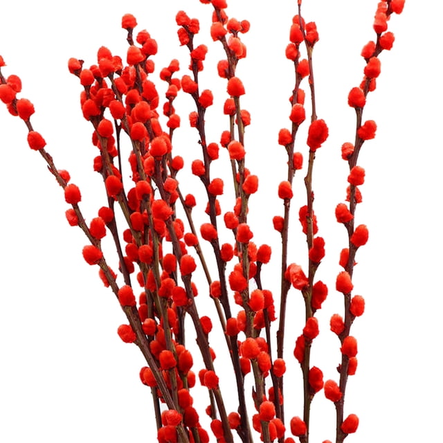 ERK 1Pcs 40 Vraies Branches de Chat Rouge 40cm Année et Année Chinoise Maison Festive (vase Non Inclus)