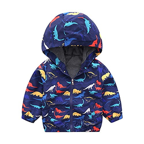 Dinosaur clearance coat boys