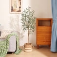 thumbnail image 5 of DR.Planzen 5' Artificial Olive Tree Indoor, Tall Faux Olive Tree, Artificial Plants with Natural Wood Trunk and Lifelike Fruits for Home Office Decor, 5 of 12