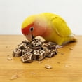 thumbnail image 5 of Bird Chew Toy Natural Wood Chip Parrot Teeth Blocks Parrot Foraging Toy Stress Relief Cage Accessory for Parakeet Cockatiel Conure Small Medium Pet Birds 6 Pcs Random Style, 5 of 8