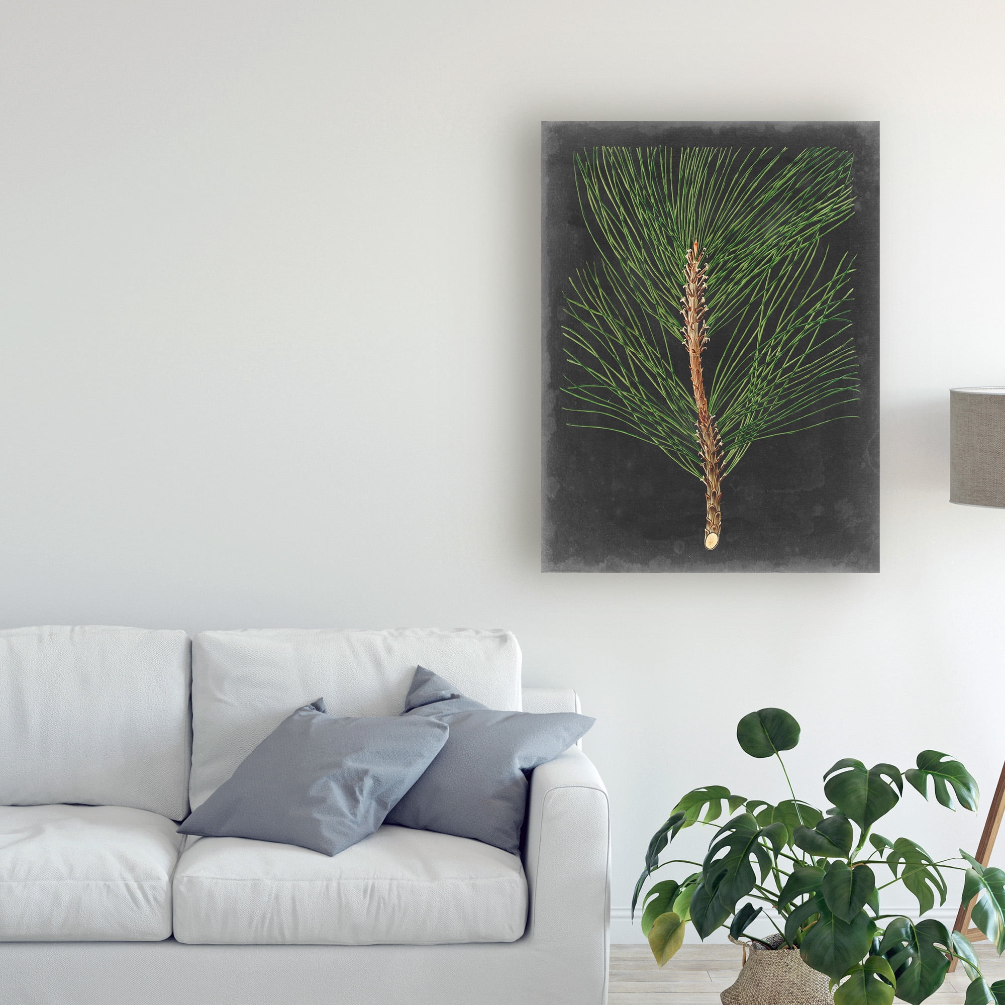 Trademark Fine Art 'Dramatic Pine I' Canvas Art by Vision Studio