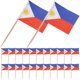 thumbnail image 3 of 100pcs Fruit Picks National Flags Fruit Picks Philippines Cocktail Toothpicks Cupcake Dessert Topper Decors, 3 of 3