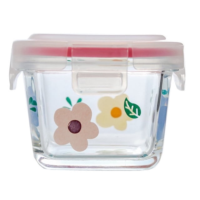 Box Lunch Glass Bento Container Containers Freezer Baby Office Toddler Picnic Jar Snack Salsa Compartment Prep Food
