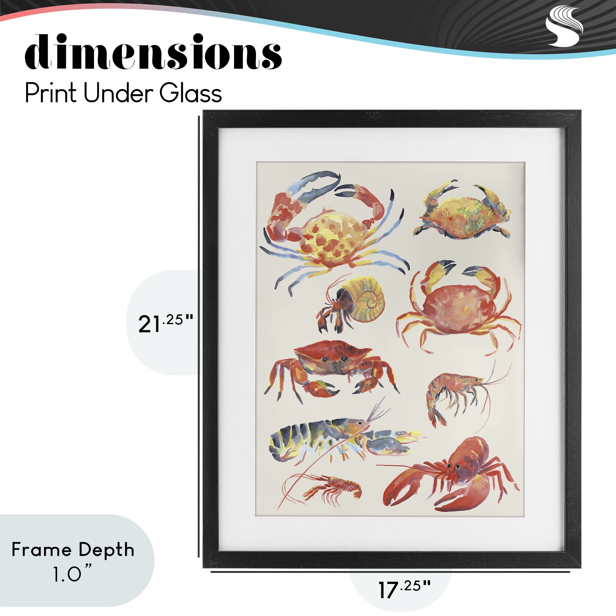 Stupell Industries Nautical Crustacean Collection Black Framed Print Under Glass, design by June Erica Vess