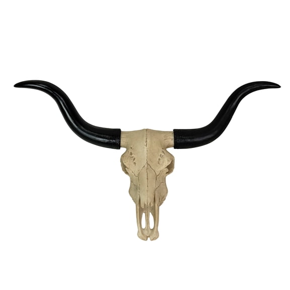 Zeckos Black & Bone Longhorn Trophy Skull Wall Sculpture 20 inch Long