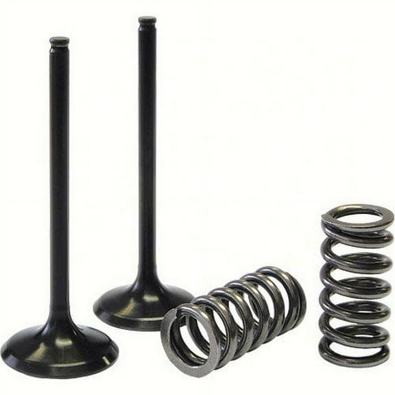 ProX  28.SIS1405-2; Steel Intake Valve / Spring Kit