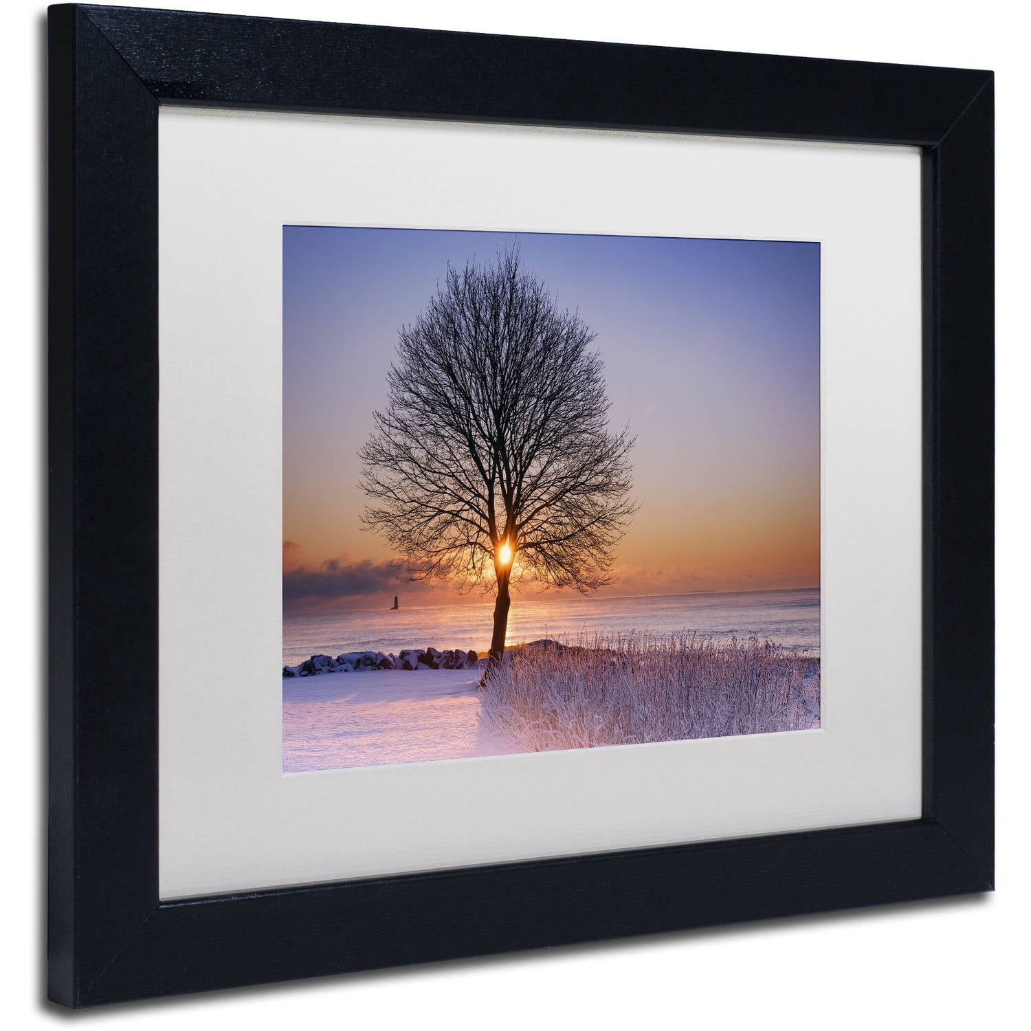 Trademark Fine Art "Tree Burst" Canvas Art by Michael Blanchette Photography White Matte, Black Frame