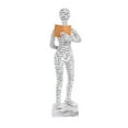 thumbnail image 1 of WIFKLSIIPG Reading Woman Figurine Pulp Bookshelf Decor Thinker Style Resin Statue Book Stand Shelves Abstract Statue Desktop Modern Reading Women Ornaments Resin Crafts Reader Woman, 1 of 3