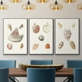 thumbnail image 2 of Pastel Knorr Shells VI - Framed Premium Gallery Wrapped Canvas L Frame 3 Piece Set - Ready to Hang, 2 of 9
