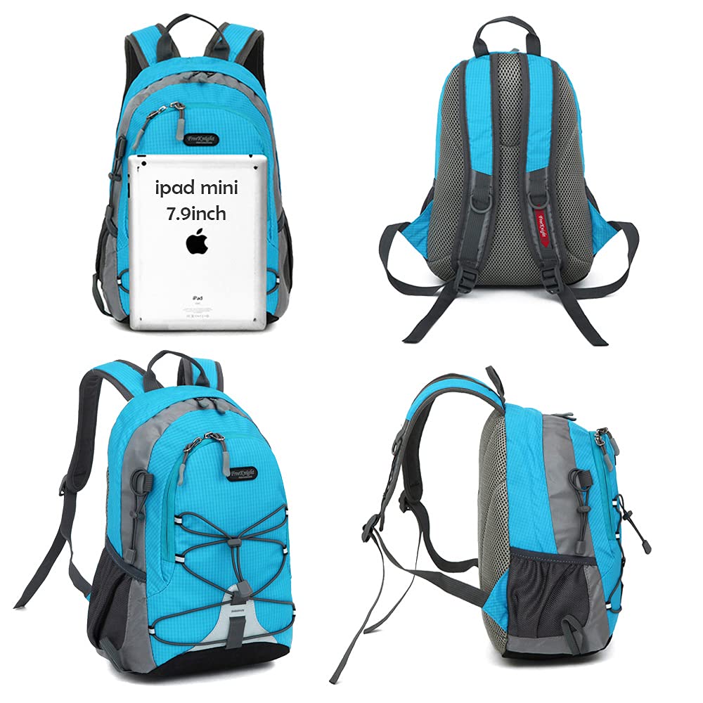 magic magenta north face backpack Borealis Mini Backpack