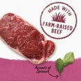thumbnail image 4 of Beyond Farm-Raised Beef & Spinach Recipe in Gravy, Wet Dog Food 354 g, 4 of 9