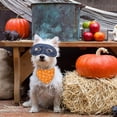 thumbnail image 4 of Pañuelos reversibles para perros de Halloween, paquete de 2, pequeños, naranja/negro, 4 of 7