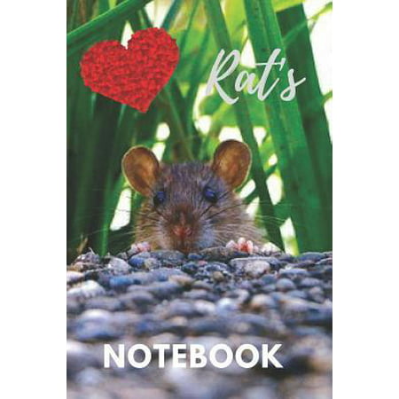 Rat Notebook : cute rats gift for children that love their pets (blank lined notebook) best for writing notes stories and ideas for home use work or as a school homework book for kids / notepad for girls / journal for journaling / rat (Best Mouse For Work 2019)