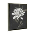 thumbnail image 3 of Stupell Industries Traditional White Dahlia Flower Graphic Art Luster Gray Floating Framed Canvas Print Wall Art, Design by Nina Blue, 3 of 6