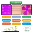 thumbnail image 3 of LED Grow Light Full Spectrum Lamp, Phyto Bulb Grow Plant Growth Light 1000W 2000W Hydroponic Light Indoor Flower Seeds Tent ,Higher Efficiency, 3 of 7