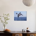 thumbnail image 4 of Dolphin Breaching the Oceans Surface, Animals Unframed Photographic Print Wall Art by DLILLC Sold by Art.Com, 4 of 4