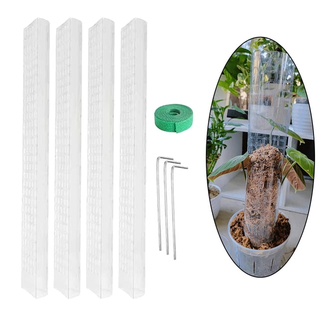 Soporte para plantas Cola Poste de apoyo 4x 24 pulgadas