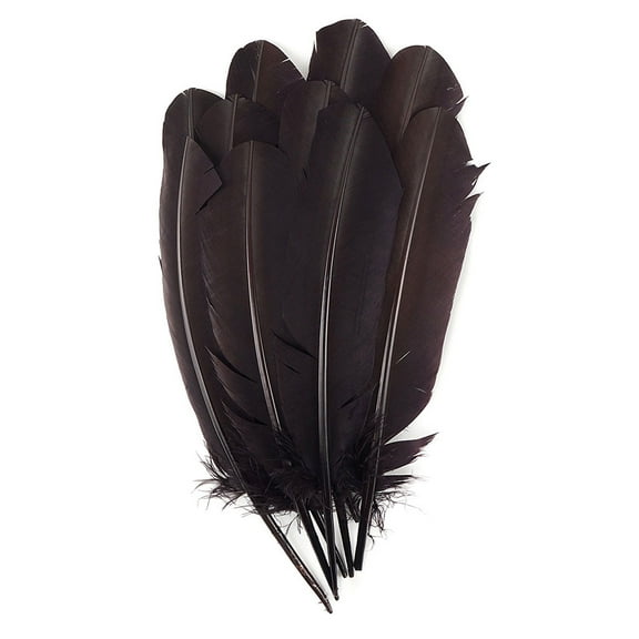 Zucker Feather Products Turkey Quills Selected - Right Wing - 10-12" - Brown