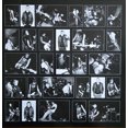 thumbnail image 5 of Teenage Bottlerocket - Warning Device - Music & Performance - Vinyl, 5 of 6