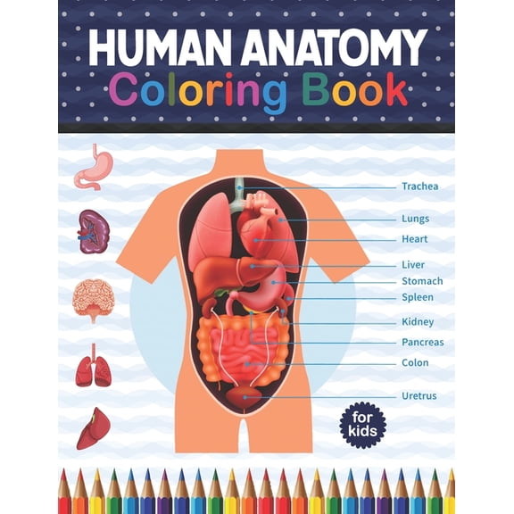 Human Anatomy Coloring Book For Kids: Human Body Anatomy Coloring Book For Kids, Boys and Girls and Medical Students. Great Gift For Boys & Girls, Ages 4, 5, 6, 7, And 8 Years Old. Human Body Part Act