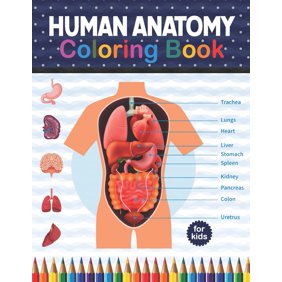 Download Grey S Anatomy Dots Lines Spirals Coloring Book New Kind Of Stress Relief Coloring Book For Kids And Adults Paperback Walmart Com Walmart Com