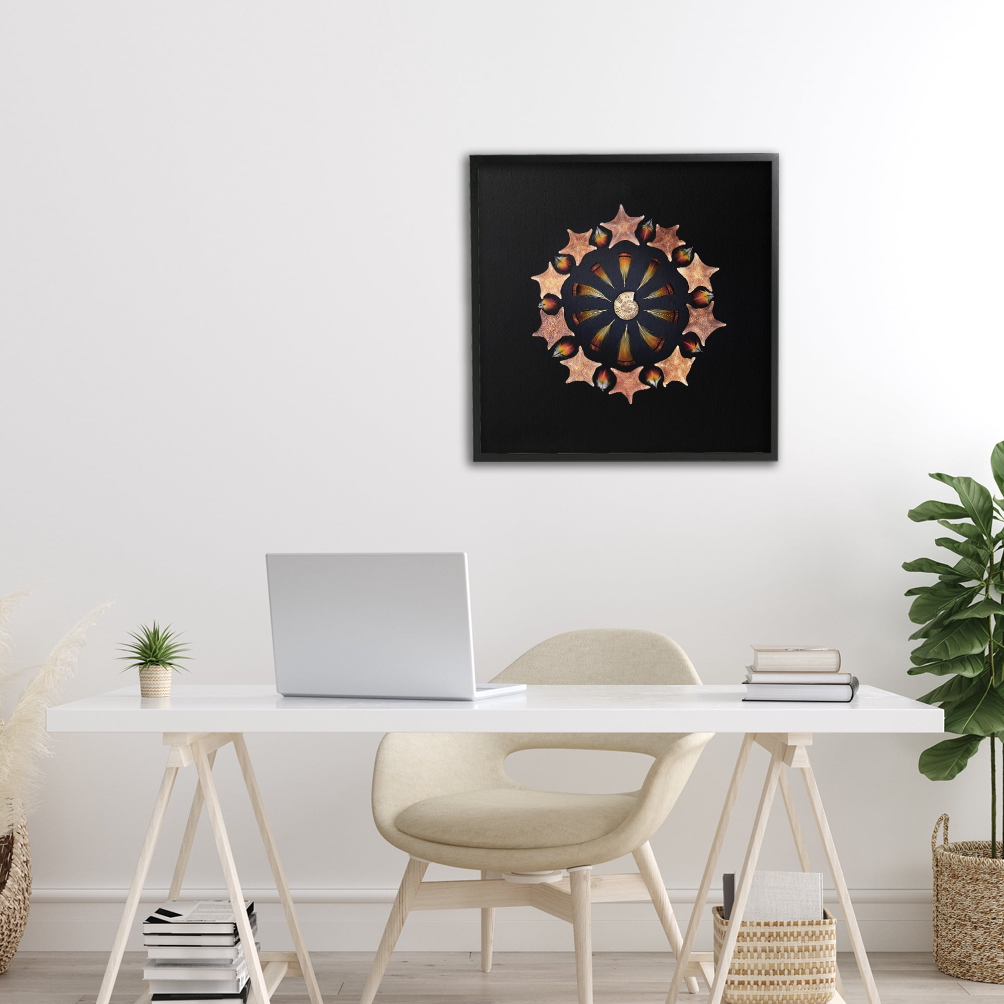 Stupell Industries Nautical Nature Arrangement Black Framed Giclee Art, design by Beth Adoette
