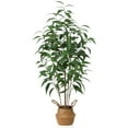 thumbnail image 6 of Potted 4FT Artificial Multi Trunk Eucalyptus Tree With Handmade Seagrass Basket for Office Daily Home Decor, 4 lb, DR.Planzen., 6 of 6
