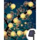 thumbnail image 1 of Guirnaldas de luces solares para exteriores, 8 modos, 20 luces LED de linterna solar, linterna LED decorativa impermeable para exteriores, luces de cadena solares para jardín para fiesta, Chris, 1 of 5