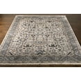 thumbnail image 3 of Hauteloom Carthage Living Room, Bedroom Area Rug - Traditional - Brown, Beige, Gray - 2' x 3', 3 of 6