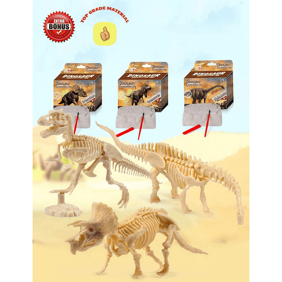 Fossil Dig Kits