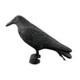 thumbnail image 1 of Simulation Black Crow Decoy Shooting Hunting Decoy Plastic Landscape Garden Decoration Household Supplies, 1 of 9