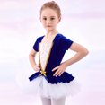 thumbnail image 6 of Huowey Toddler Short Sleeve Glitter Dance Ballet Tutu Leotard Ballerina Outfits For Girls Toddler Comfort Dailywear, 2-3 Years, 6 of 9