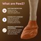 thumbnail image 2 of Botines impermeables para perro Protex PawZ medianos 6-7,5 cm color marrón, 2 of 7