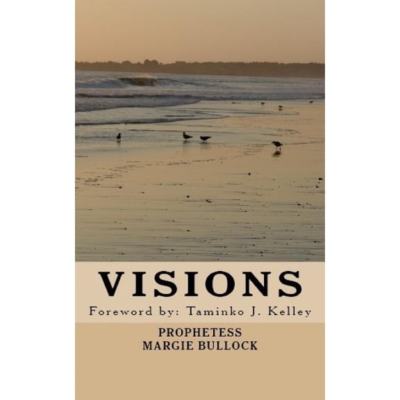 Visions (Paperback)