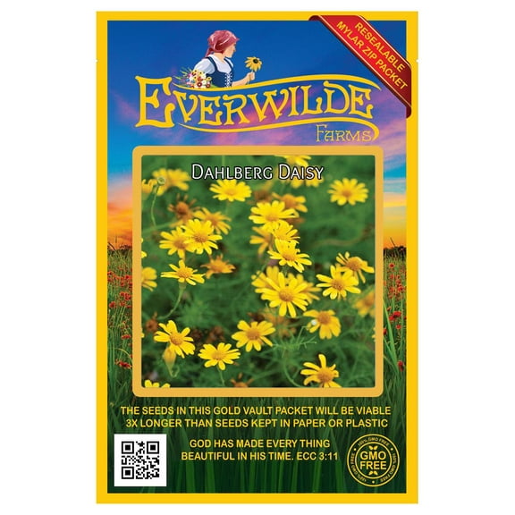 Everwilde Farms - 2000 Dahlberg Daisy Native Wildflower Seeds - Gold Vault Seed Packet