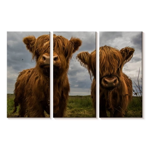Elephant Stock Baby Highland Cows Wall Art - Horizontal Multi Panel Canvas - Hallway Wall Decor - Animal Multi Panel - Brown And Blue Decor - 23" x 14"