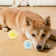 thumbnail image 4 of Dog Pet Glow Toy Ball - Durable Elastic Spiky Ball for Medium to Large Dogs, Chew Toy with Light - Pet Supplies, Interactive Play, Teeth Cleaning (Yellow), 4 of 4
