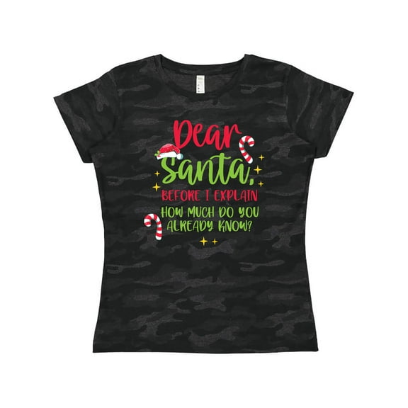 Inktastic Christmas Dear, Santa Before I Explain How Much do you Know? Women's T-Shirt