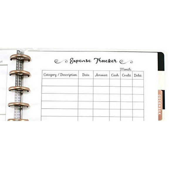Expense Tracker Inserts for 11 Disc Planners