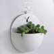 thumbnail image 4 of Maceta de plástico para plantas, montaje en pared, bonsái suculento, maceta para flores, decoración de jardín y pared para el hogar Likrtyny Libre de BPA, 4 of 4