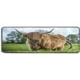 thumbnail image 5 of Dreamtimes Highland Cattle Pasture Hallway Runner Rug 2'x6' Kitchen Rug with Rubber Backing Grassland Animal Non Slip Entryway Rug Runner Washable Soft Area Rug for Hallway Bedroom Kitchen Decor, 5 of 6