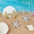 thumbnail image 4 of 2 Pairs Starfish Earrings Studs for Women 1.9" Beach Earring Sea Star Stud Boho Starfish Studs Summer Statement Earrings for Women Summer Ocean Beachy Jewelry Gold/Platinum Mixed Color, 4 of 5