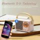 thumbnail image 3 of Retro Bluetooth speaker, vintage FM radio, Bluetooth 5.0., 3 of 5