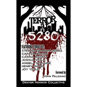 Terror at 5280' (Paperback)