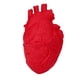 thumbnail image 2 of Juguete Novedoso onlyliua para Aliviar el Estrés Forma de Corazón y Forma de órgano, 2 of 6